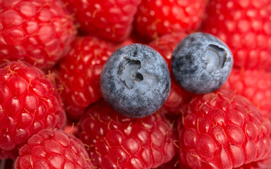 Blaubeeren und Himbeeren