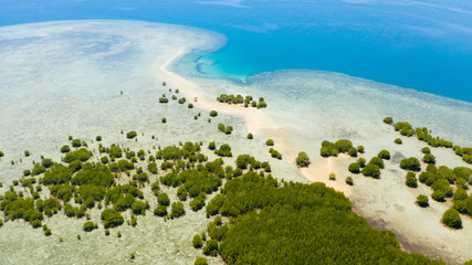 Tropical island with mangroves and turquoise lagoons on a coral reef, top view. Fraser Island, seascape Honda Bay, Philippines. Atolls with lagoons and white sand.