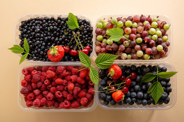 Fresh ripe berries in boxes