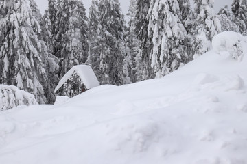 winter in the mountains