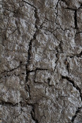 Full frame background of soil