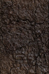 Full frame background of soil