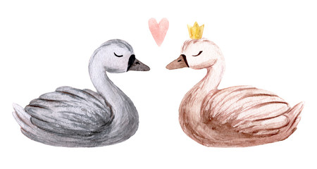 Watercolor swan. Hand painted illustration isolated on white background. Character swans for children's design
