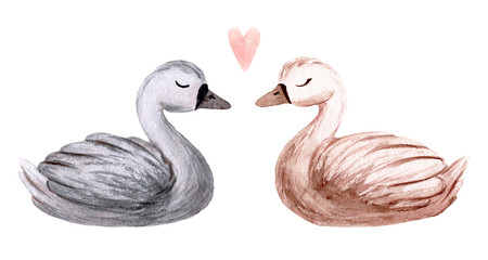Watercolor swan. Hand painted illustration isolated on white background. Character swans for children's design