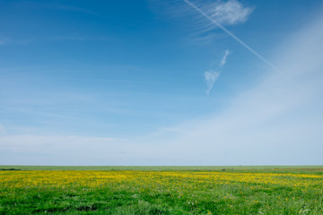 Sunny fields of the Netherlands