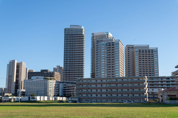 千葉県 柏の葉キャンパス 郊外の風景