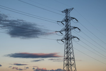 夕方の送電線