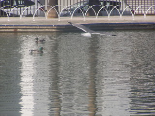mi parque