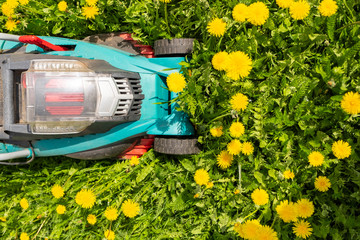 A green, rechargeable lawn mower stands in the center of yellow dandelions. View from above. Copy...