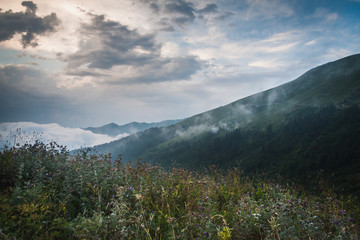 Obraz premium Beautiful Mountain landscape. the northern part of Abkhazia, the Caucasus Mountains. Arabica mountains
