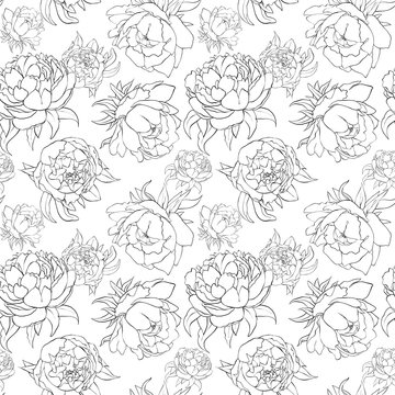 Watercolor seamless pattern illustration of outline peony flower
