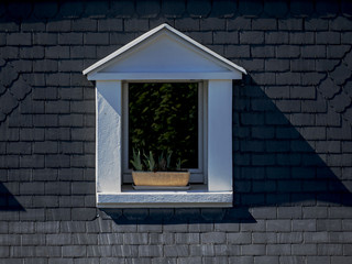 roof window of a contemporary pavilion