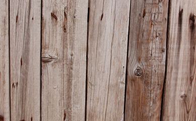 Fototapeta premium wooden door