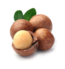 Macadamia nuts