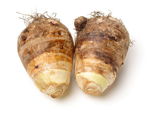 Taro on a white background