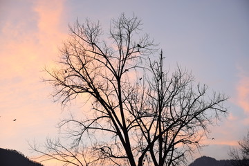 mountains sunset beauty