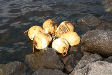 view of the water, rocks and floats on the Gulf of Finland of St. Petersburg   