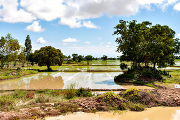 Fototapeta premium View of rural areas in Cambodia