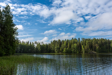 Fototapeta na wymiar Summer landscape with green forest and lake, Finland