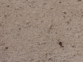 Texture mur en pierre couleur sable antique
