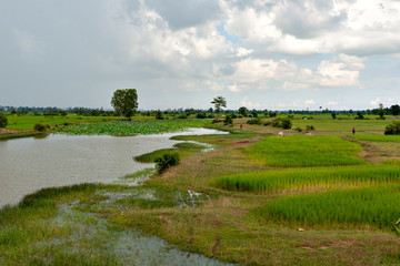 Fototapeta na wymiar View of rural areas in Cambodia