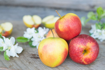 apples i