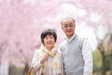 桜の中で微笑むシニア夫婦