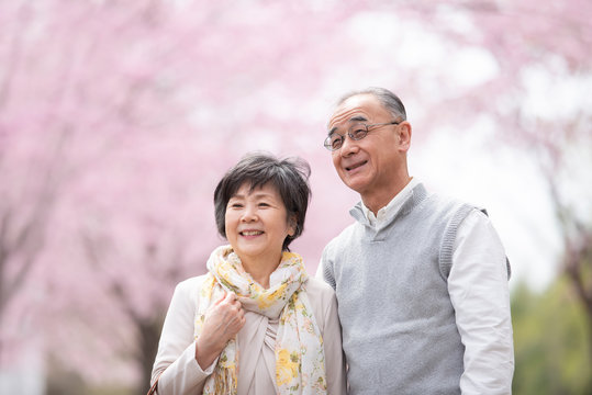 桜の中で微笑むシニア夫婦