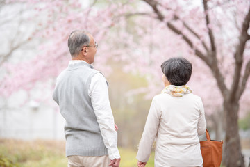 桜の中で寄り添うシニア夫婦の後ろ姿
