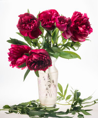 Artistic still life with red peonies in vase