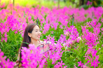 Women Asian cutting pink orchids in the garden for sale With a happy smile