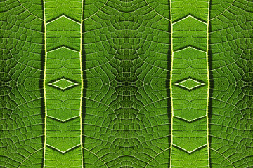 Fresh green leaf macro details pattern illustration