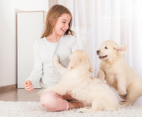 Little girl sit hugging cute fluffy retriever puppies on carpet