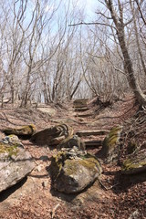 古峰ヶ原高原ハイキングコース（三昧石への道）