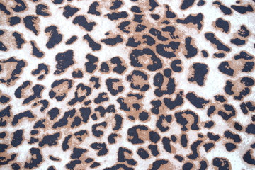 close up leopard pattern background