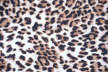 close up leopard pattern background