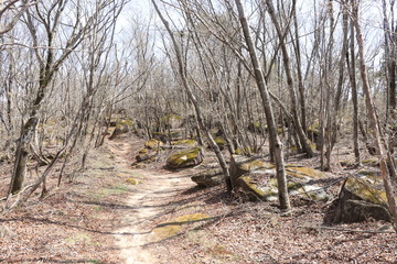古峰ヶ原高原ハイキングコース（天狗の庭）