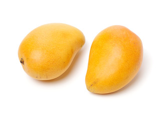 Mango on a white background