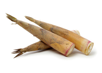 Bamboo shoot on the white background 