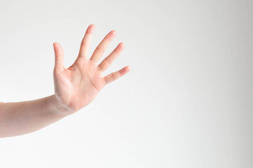 Woman showing a palm and raising five fingers on white background and copy space.