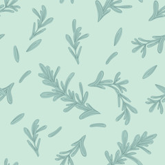 Floral hand drawn seamless pattern. Rosemary. Vector botanical illustration.