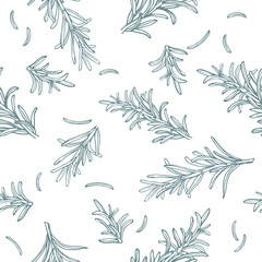 Provence herbs. Rosemary branches seamless vector pattern background. Green leaf leaves, twig, branch, herb stick. Isolated on white background. Botanical. Floral. Herbal.