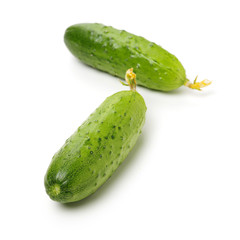 Green cucumber on the white background