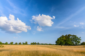 Natur Landschaft Weite