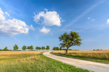 Natur Lanschaft mit Radweg
