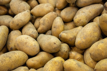 Fototapeta na wymiar potato : raw vegetables food in the market