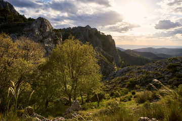 Naklejka premium mountain valley at sunset with cloudy sky