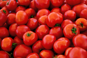 Fresh red tomato pile