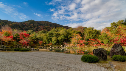 Obraz premium 秋の天龍寺 曹源池庭園の紅葉