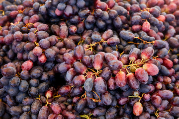 Pile of red grapes. Close up